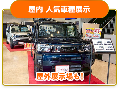 人気車種展示